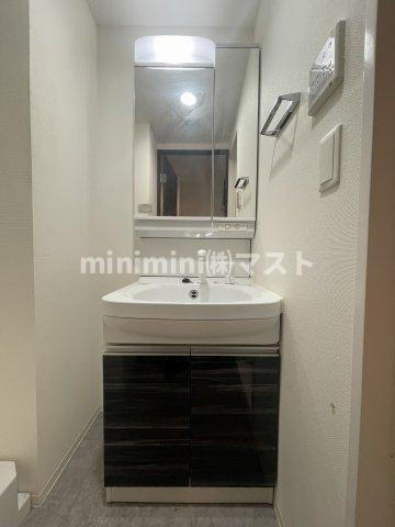 アドバンス大阪ルーチェの洗面所