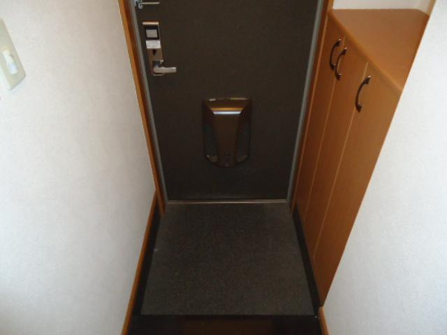 レインボーパレスⅡの玄関|玄関