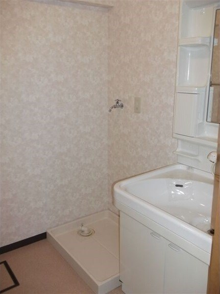 サウスヒルズ大清水の洗面所