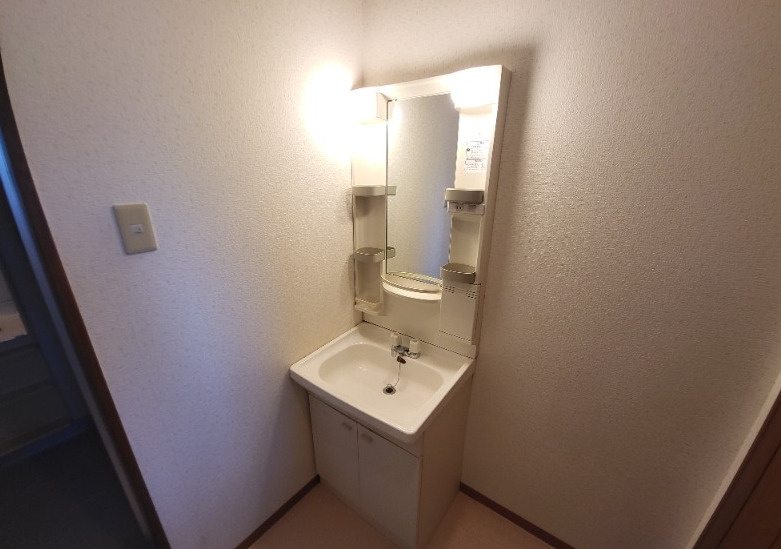 熊本市中央区黒髪６丁目の賃貸マンションの独立洗面台