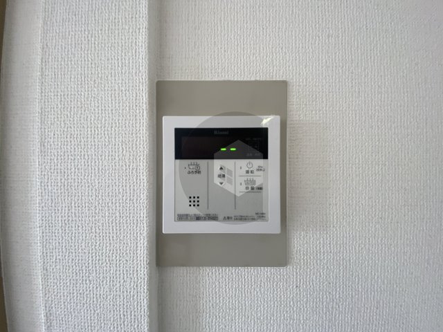 カサフェリスのその他