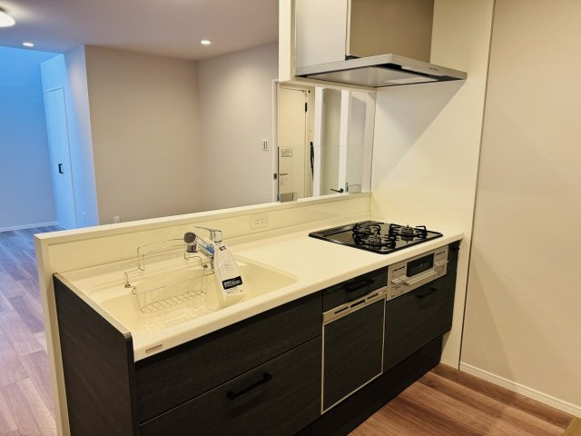 サンビュー南町のキッチン|～新規交換済、使い勝手の良いシステムキッチン（トクラス製）～