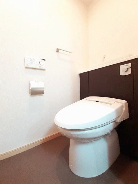 熊本市南区平田２丁目の賃貸マンションのトイレ