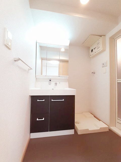 熊本市南区平田２丁目の賃貸マンションの独立洗面台