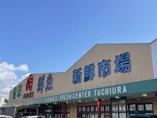 【周辺】 | ジュネス　恵 | 新鮮市場土浦まで180m