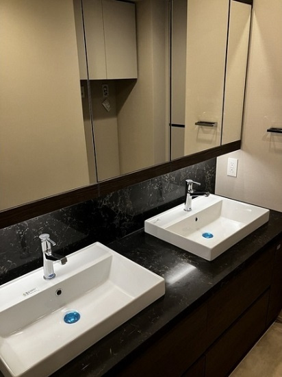 港区海岸１丁目の賃貸マンションのその他|洗面