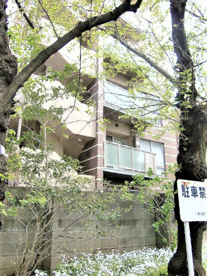 メイクスデザイン上石神井の周辺