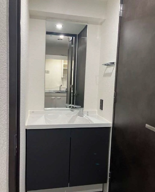 TWG新橋Ⅱの洗面所