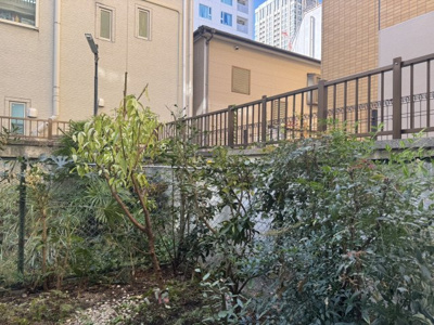 【庭】 | 秀和月島レジデンス