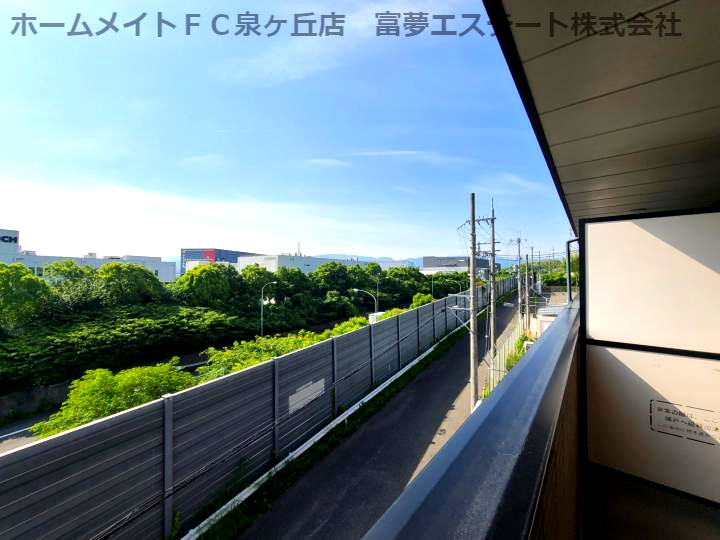 アンプルールフェールフォルスの展望