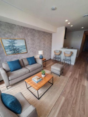 王禅寺西７丁目メゾンの居間・リビング