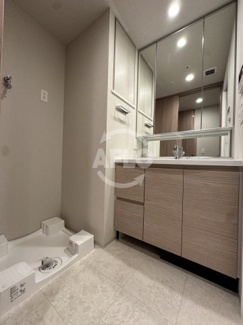 【洗面所】 | ブランズタワー大阪本町 | ブランズタワー大阪本町　洗面脱衣所