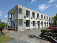 ハローダニエルの画像