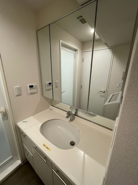 リテラス学芸大学の独立洗面台