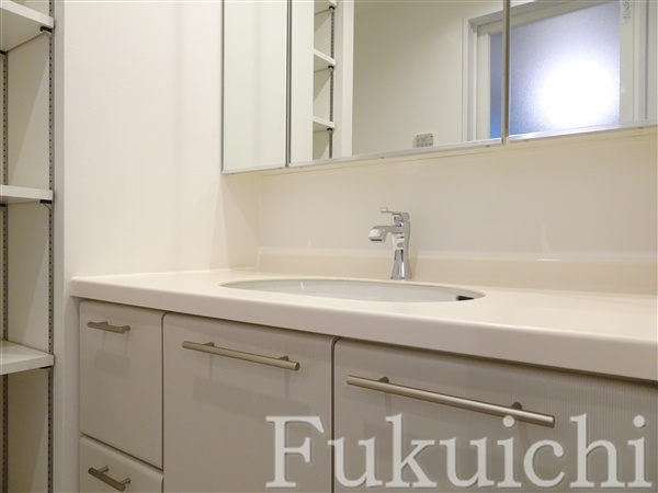 リテラス学芸大学の独立洗面台