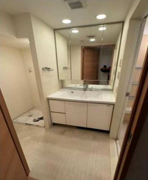 日神パレステージ田端の洗面所