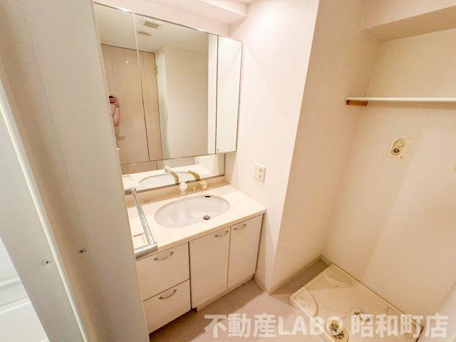 クラウンハイム上町台セントラル ラ・カーサの洗面所