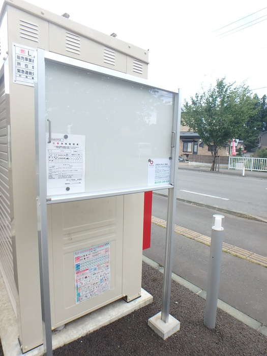 キララのその他