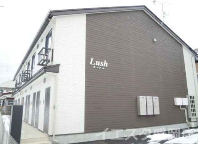 Lush(ルッシュ)
