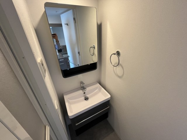 アドバンス神戸ラシュレの洗面所