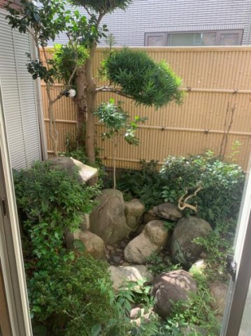 山芦屋町貸家の庭