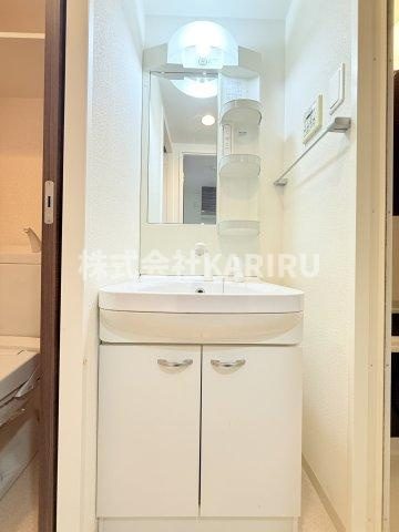 Luxe鶴見の洗面所