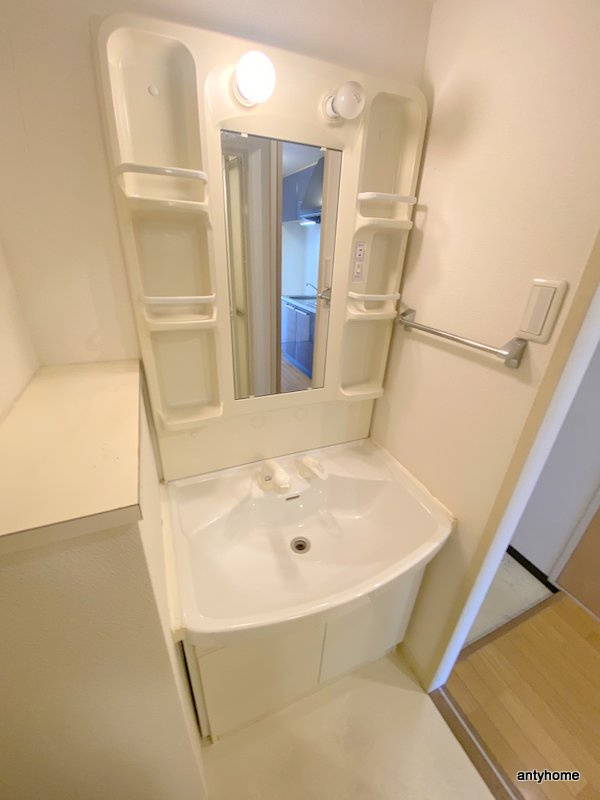 サン・ロレンツ心斎橋東　仲介手数料無料の洗面所