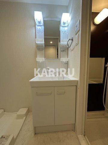 ベルンガーデン巽 の洗面所