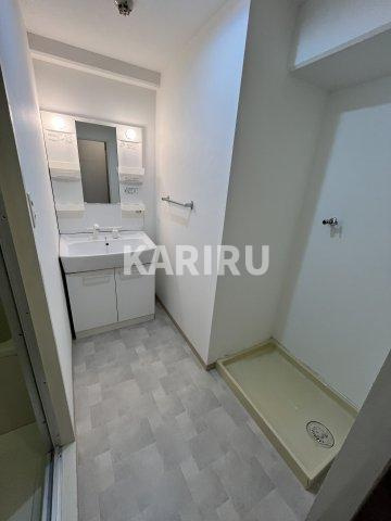 ウィステリア今里の洗面所