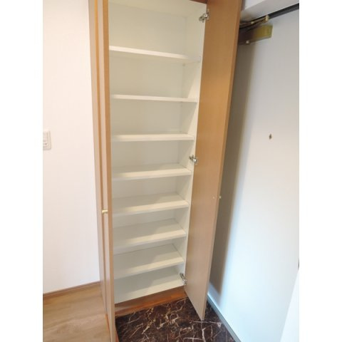 錦糸町インターナショナルレジデンスの玄関