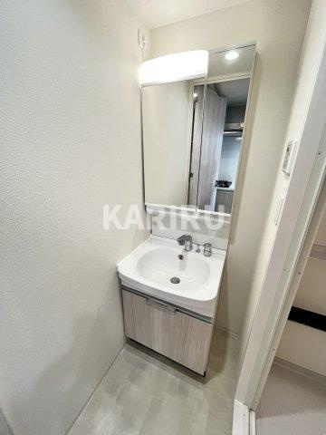 アドバンス北大阪ロワンの洗面所