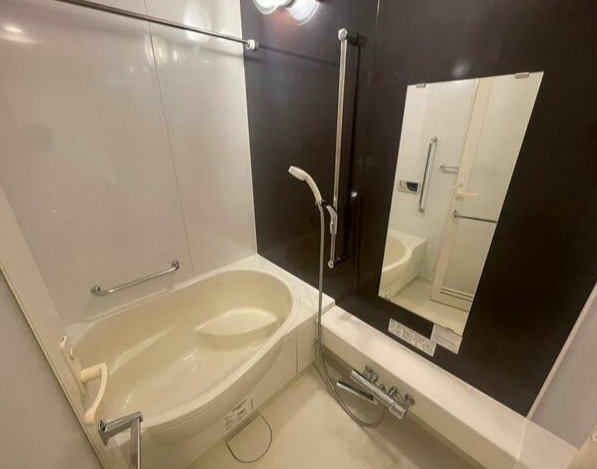 ダイアパレス蔵前の浴室