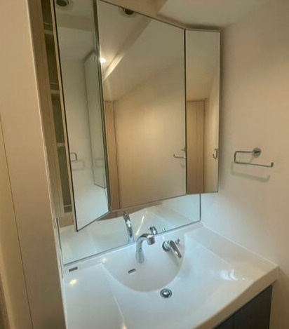 ダイアパレス蔵前の洗面所