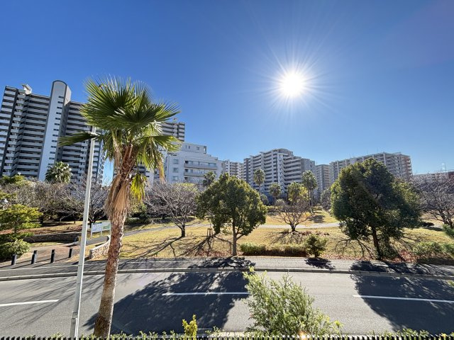 【物件からの展望】