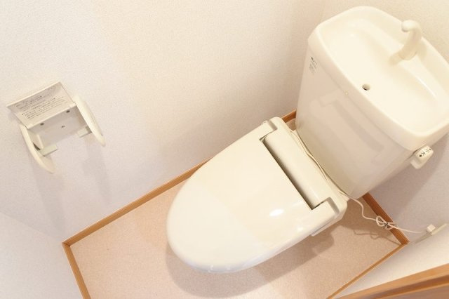 チェスナッツのトイレ