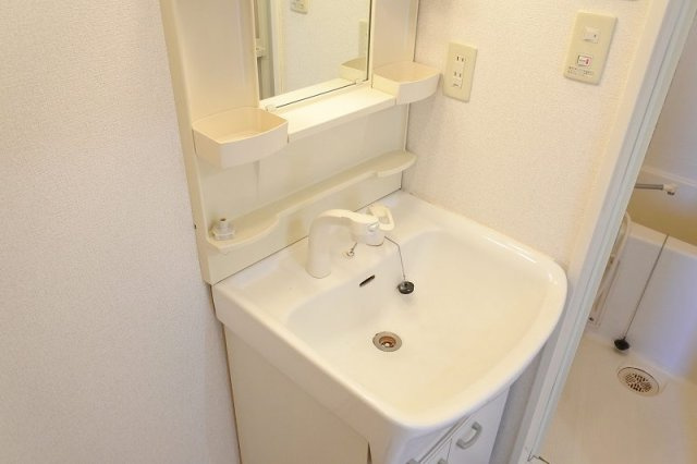 チェスナッツの洗面所