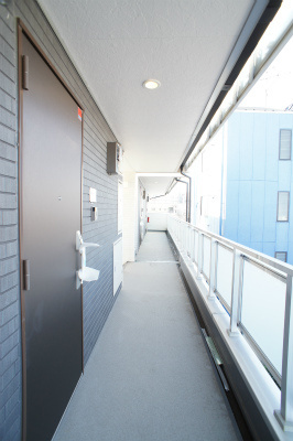 リブリ・Baraenのその他