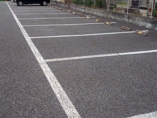 レオネクストブルーリーフのその他