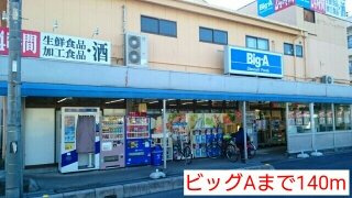ランドセット川口の周辺|ビッグAまで140m