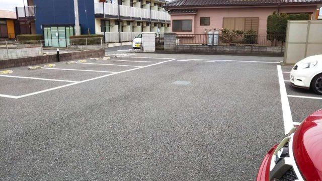 レオネクストオールリバーのその他