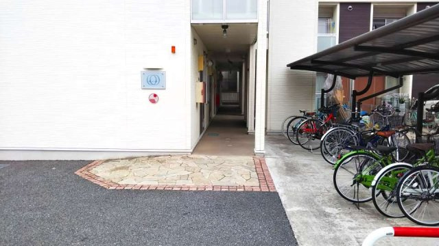 レオネクストオールリバーのその他