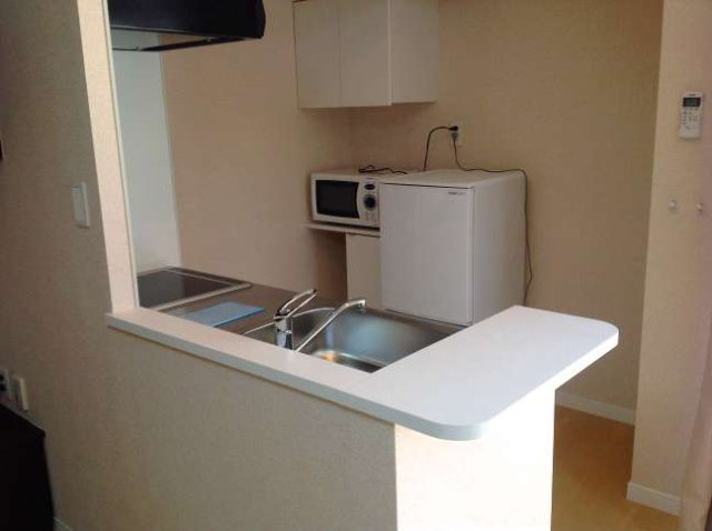 レオネクストオールリバーのキッチン