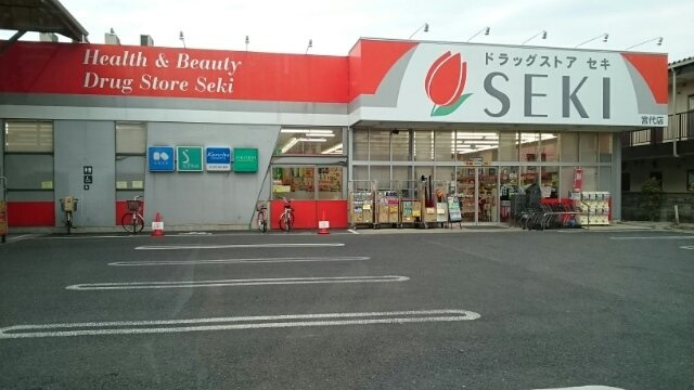 アンシャンテⅠの周辺|ドラッグストアセキ宮代店まで900m