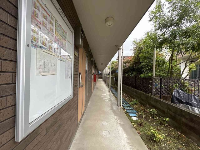 ミランダアルチザンのその他