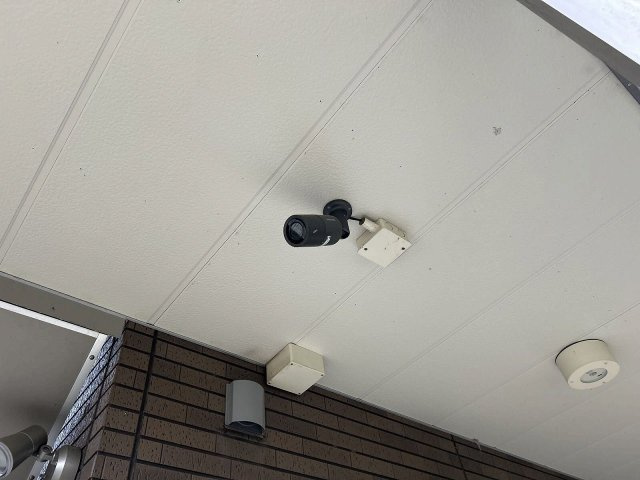 ミランダアルチザンのその他