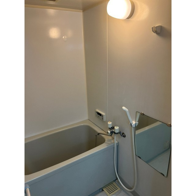 メゾン・ラフィーネⅡの浴室