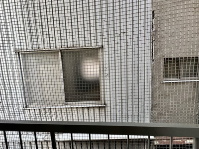 【展望】 | 沼田ビル