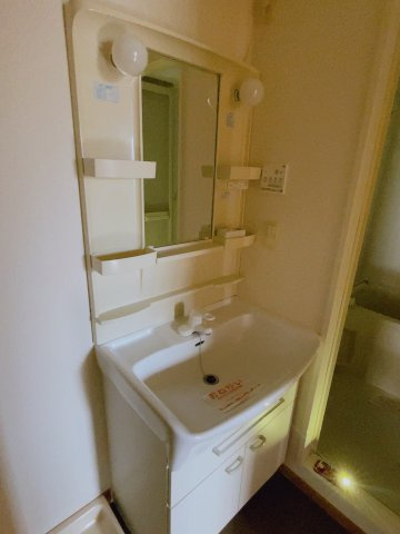 グランデヒサノBの洗面所