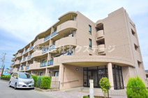 アンソレイエ　アオキの画像