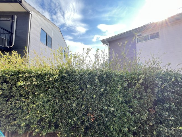 ガーデンスクウェアの展望|イメージ203号室の写真